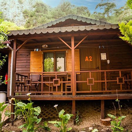 Ikiz Pension Bungalow Çıralı Εξωτερικό φωτογραφία