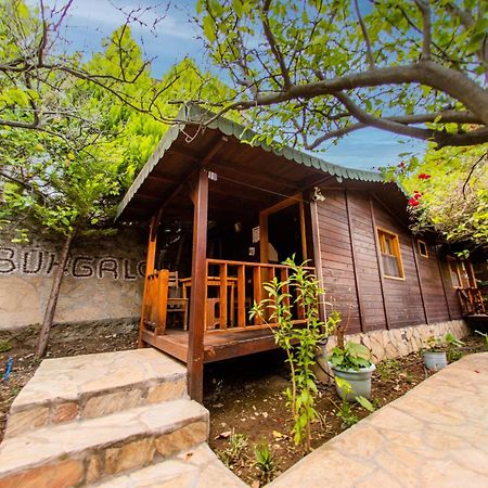 Ikiz Pension Bungalow Çıralı Εξωτερικό φωτογραφία