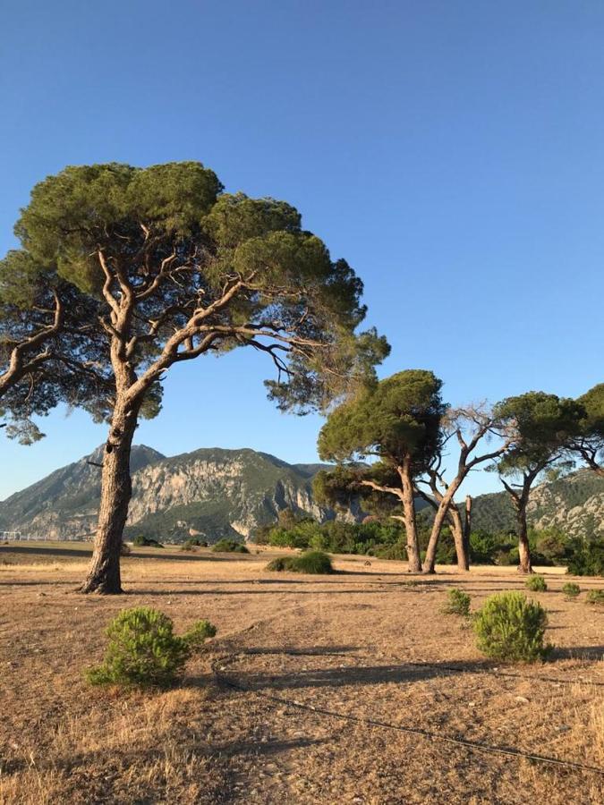 Ikiz Pension Bungalow Çıralı Εξωτερικό φωτογραφία